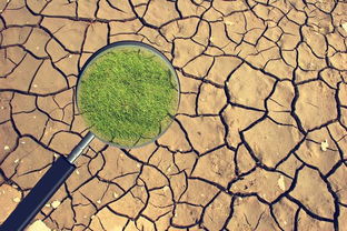 守護(hù)源頭活水——云南多措并舉打好長(zhǎng)江上游污染防治攻堅(jiān)戰(zhàn) 筑牢土壤環(huán)境安全屏障