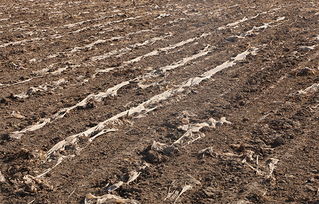 告別白色污染 守護(hù)村莊凈土，探索土壤環(huán)境污染防治服務(wù)新路徑